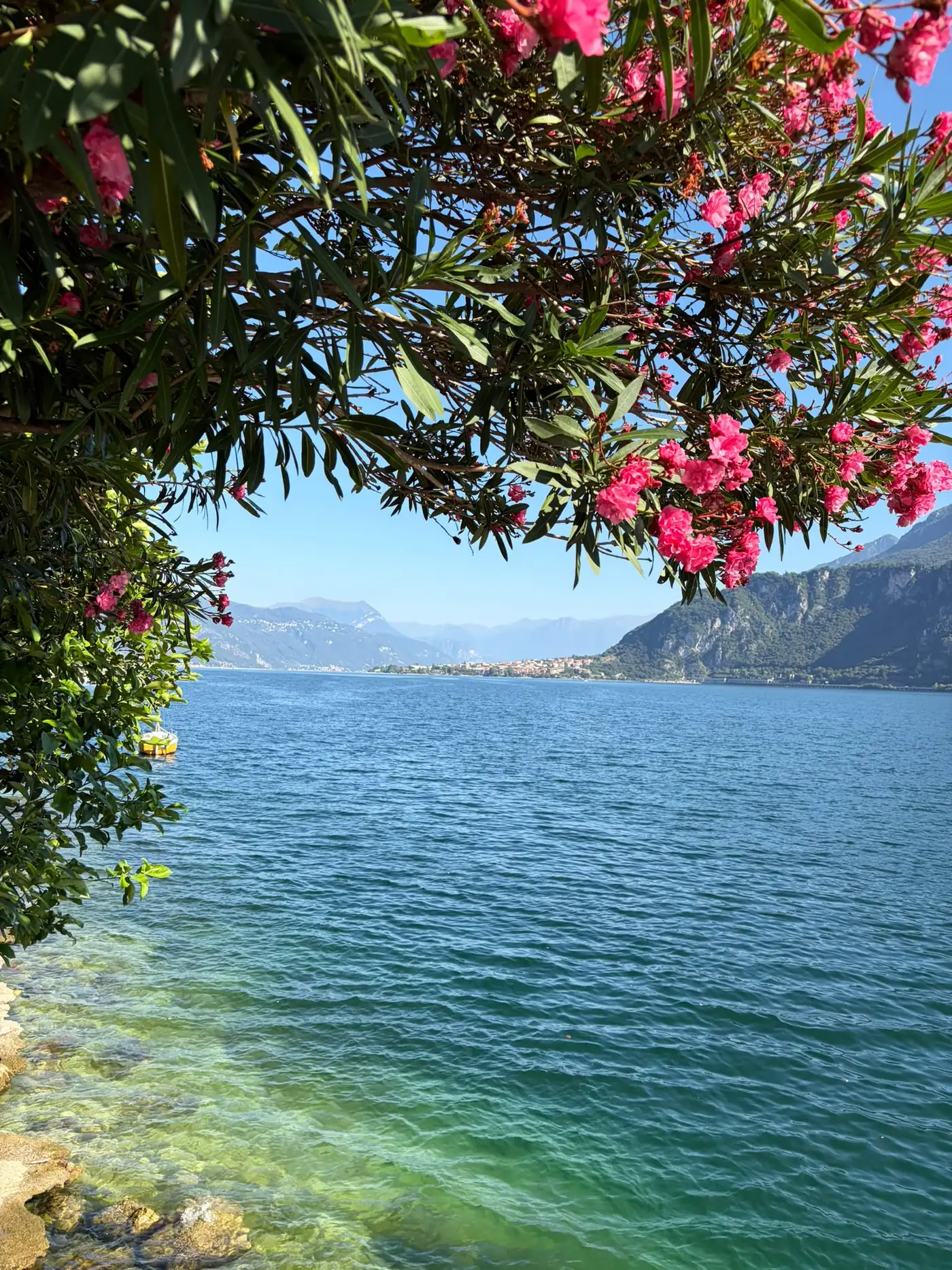 Il lago dal giardino, tra gli oleandri